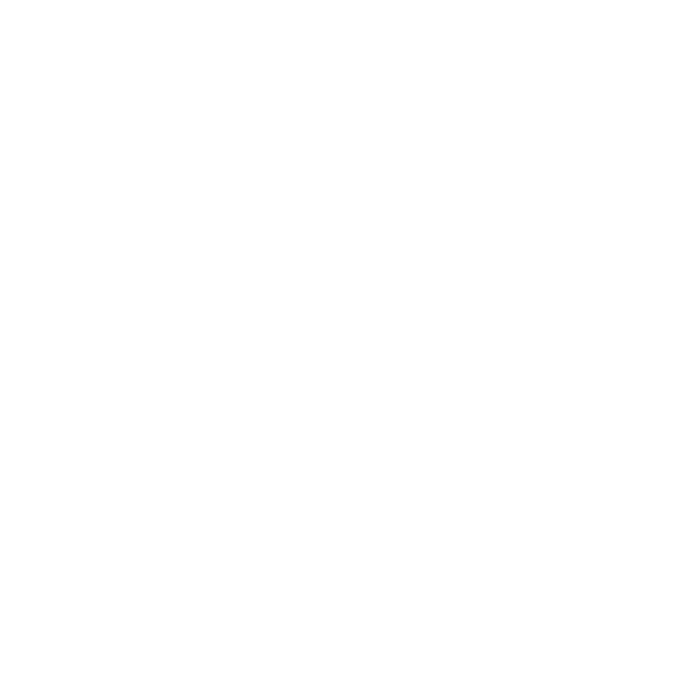 REVERSE logo