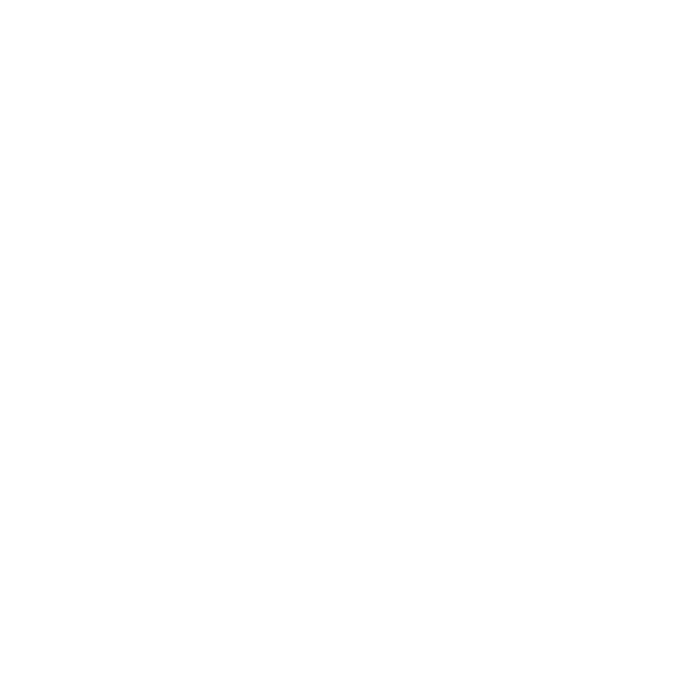 BRAINSONIC logo